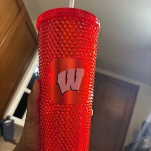 STARBUCKS COLLEGE COLLECTION WISCONSIN STONED CUP